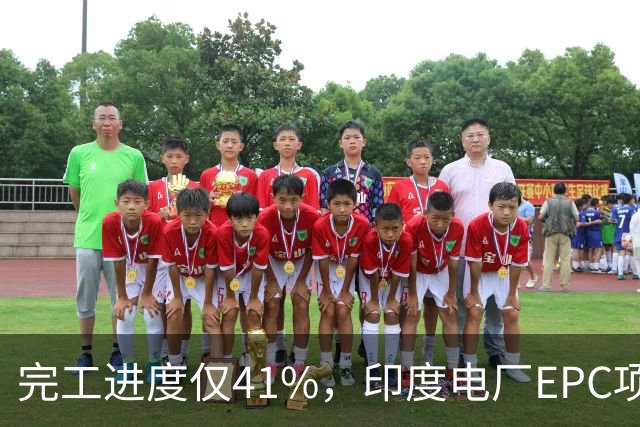 完工进度仅41%，印度电厂EPC项目起争议，清新环境称遭业主终止合同，发起近40亿卢比仲裁索赔
