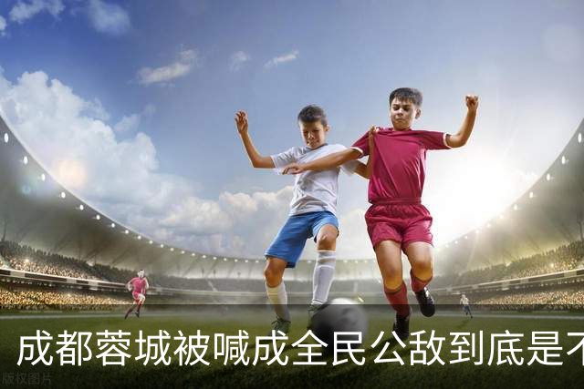 成都蓉城被喊成全民公敌到底是不是真的,看完五月申花主场那场六万多人看球就知道答案