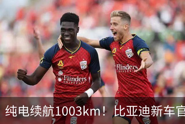 纯电续航1003km!比亚迪新车官宣,10月26日开启小订